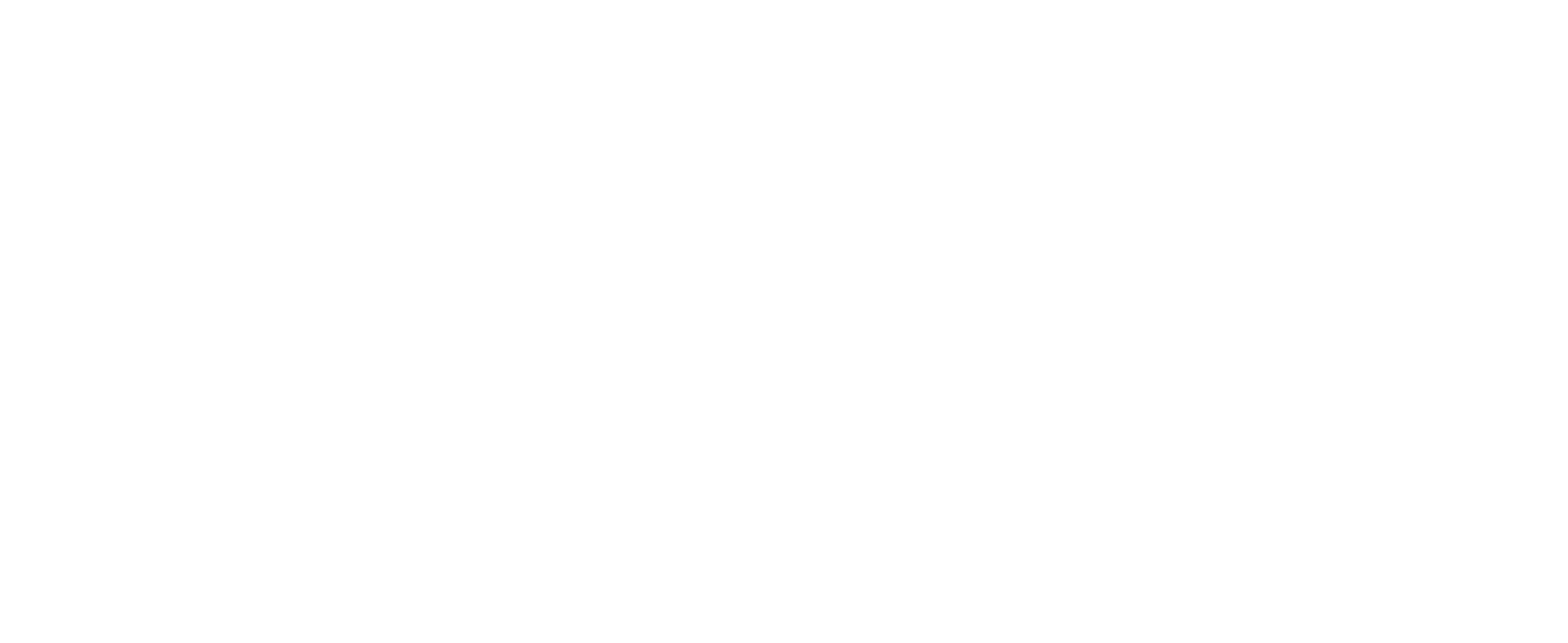 logo wizito